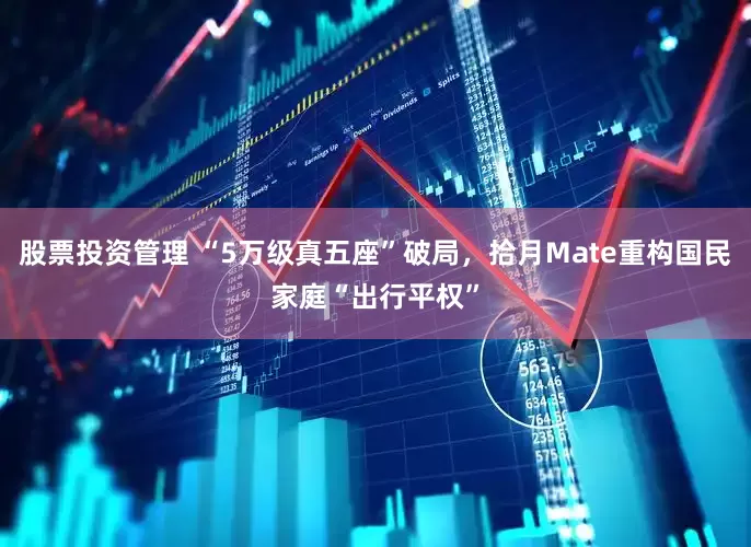 股票投资管理 “5万级真五座”破局，拾月Mate重构国民家庭“出行平权”