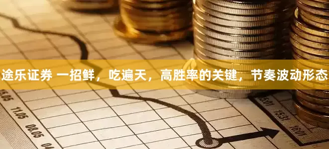 途乐证券 一招鲜，吃遍天，高胜率的关键，节奏波动形态