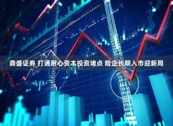 鼎盛证券 打通耐心资本投资堵点 险企长期入市迎新局