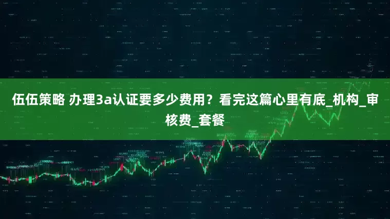 伍伍策略 办理3a认证要多少费用？看完这篇心里有底_机构_审核费_套餐