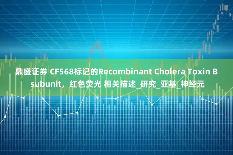 鼎盛证券 CF568标记的Recombinant Cholera Toxin B subunit，红色荧光 相关描述_研究_亚基_神经元