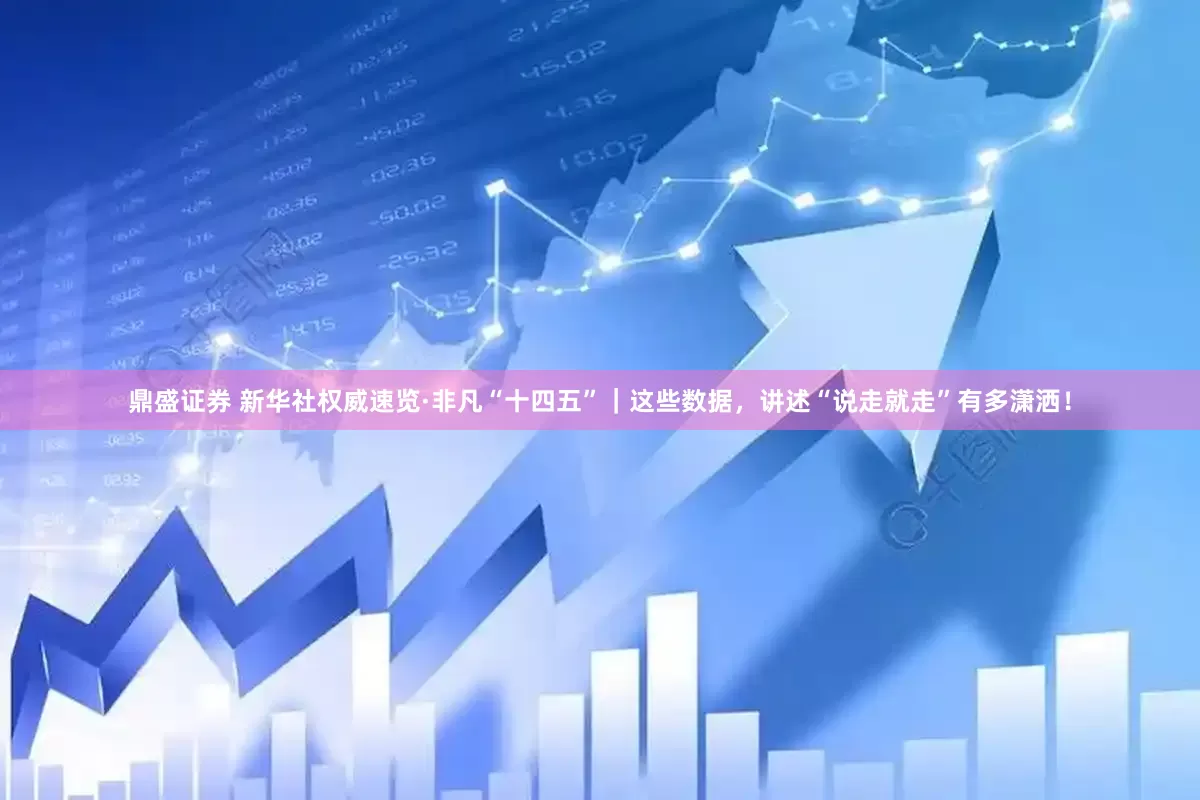 鼎盛证券 新华社权威速览·非凡“十四五”｜这些数据，讲述“说走就走”有多潇洒！